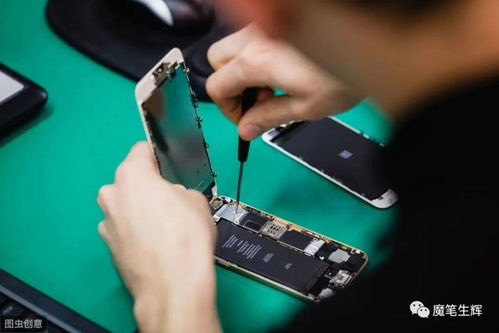 年輕人創(chuàng)業(yè)好項(xiàng)目,職場者做副業(yè)的好選擇,互聯(lián)網(wǎng)時(shí)代副業(yè)剛需