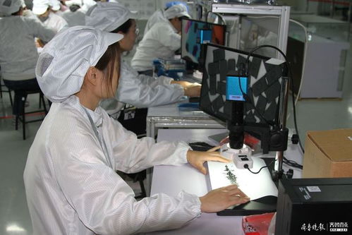 沖刺年度目標,海富電子年底還將產(chǎn)百萬條傳輸線